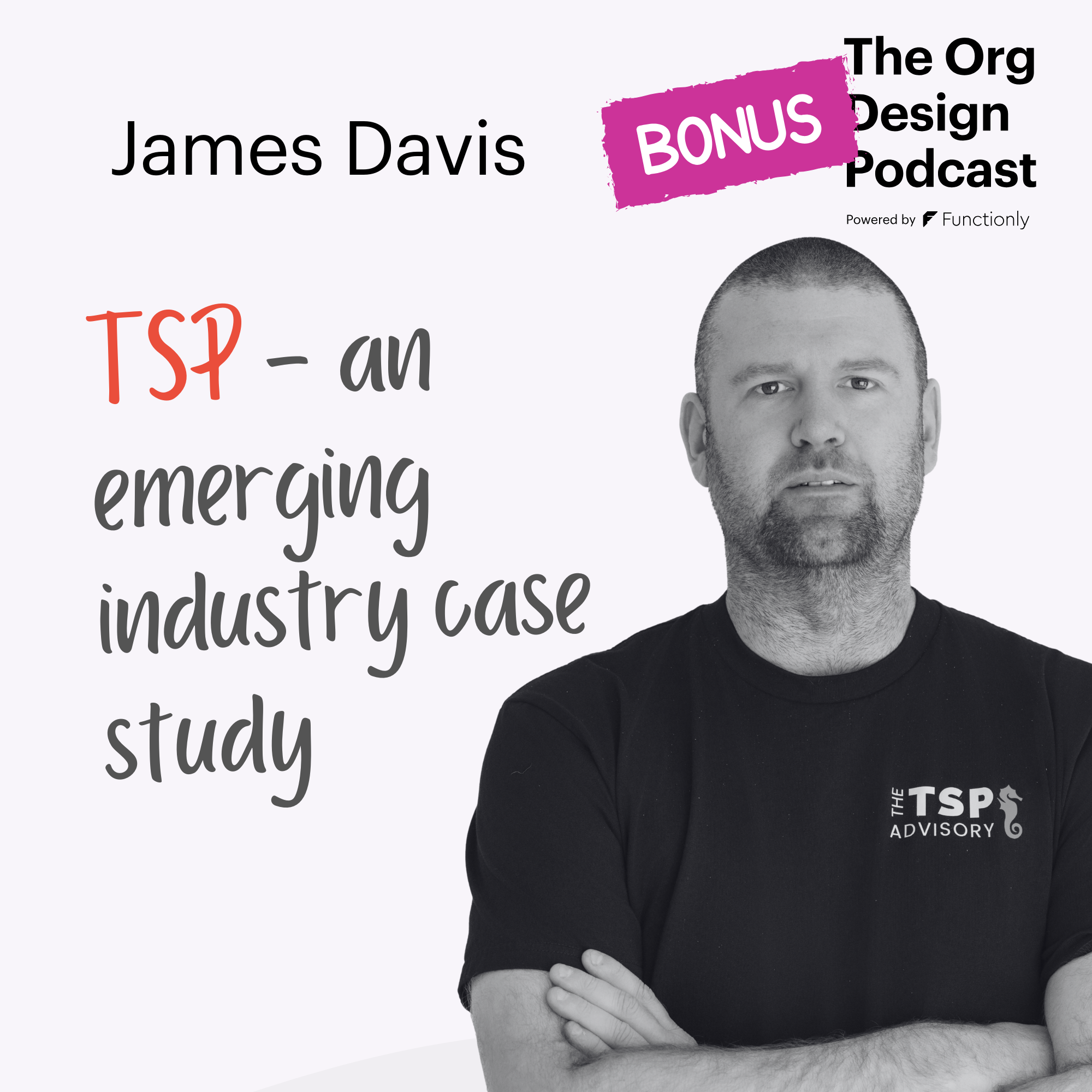 BONUS: TSP industry transformation and org design with James Davis of The TSP Advisory